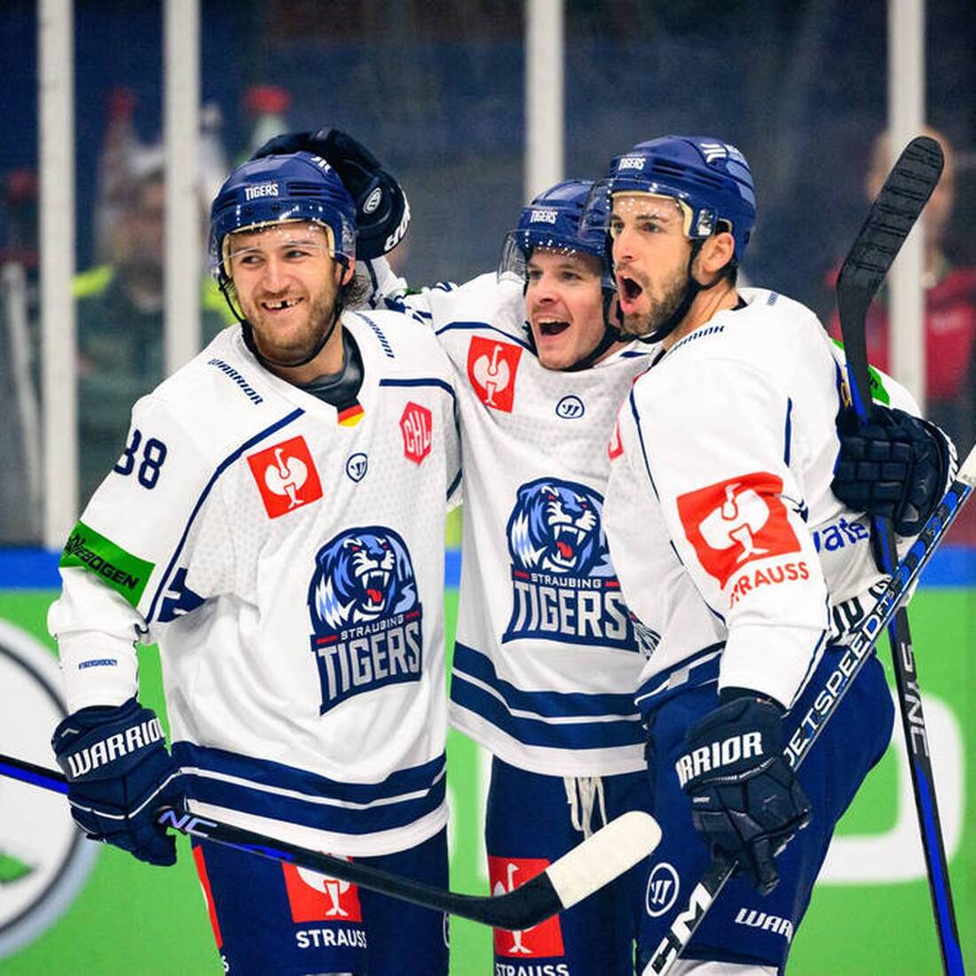 Zespół hokejowy Straubing Tigers